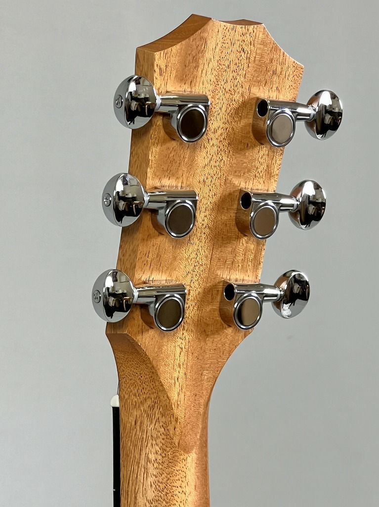 Taylor GS Mini ヘッド裏面
