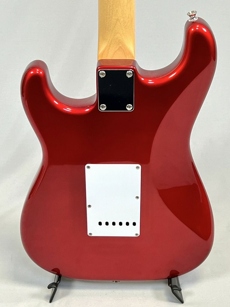 FGNBasicClassicBCST100RBD-CARボディ裏