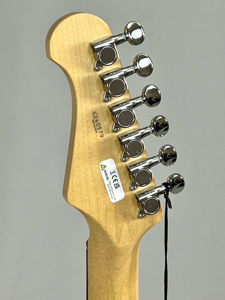 FGNBasicClassicBCST100RBD-CARヘッド裏