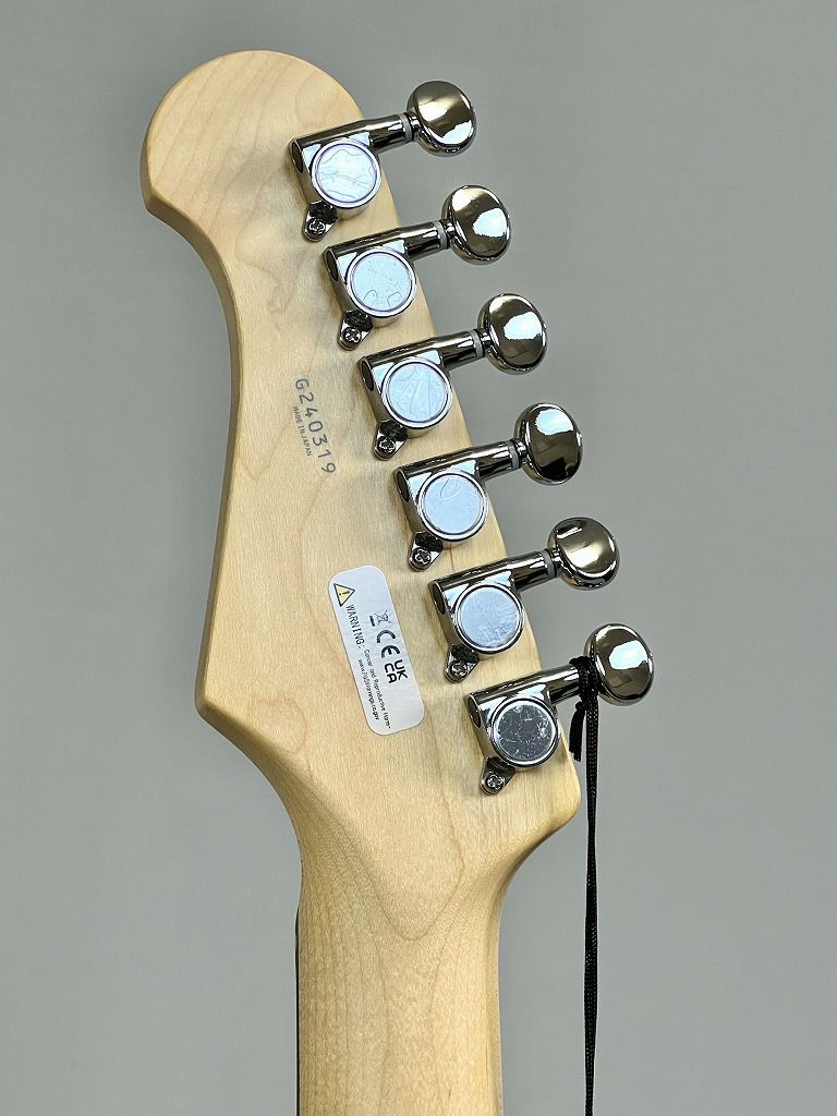 FGN Basic Classic BCTE100RBD-CARヘッド裏