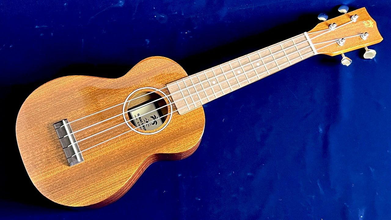 ILIKAI IL-SOP-4MGG