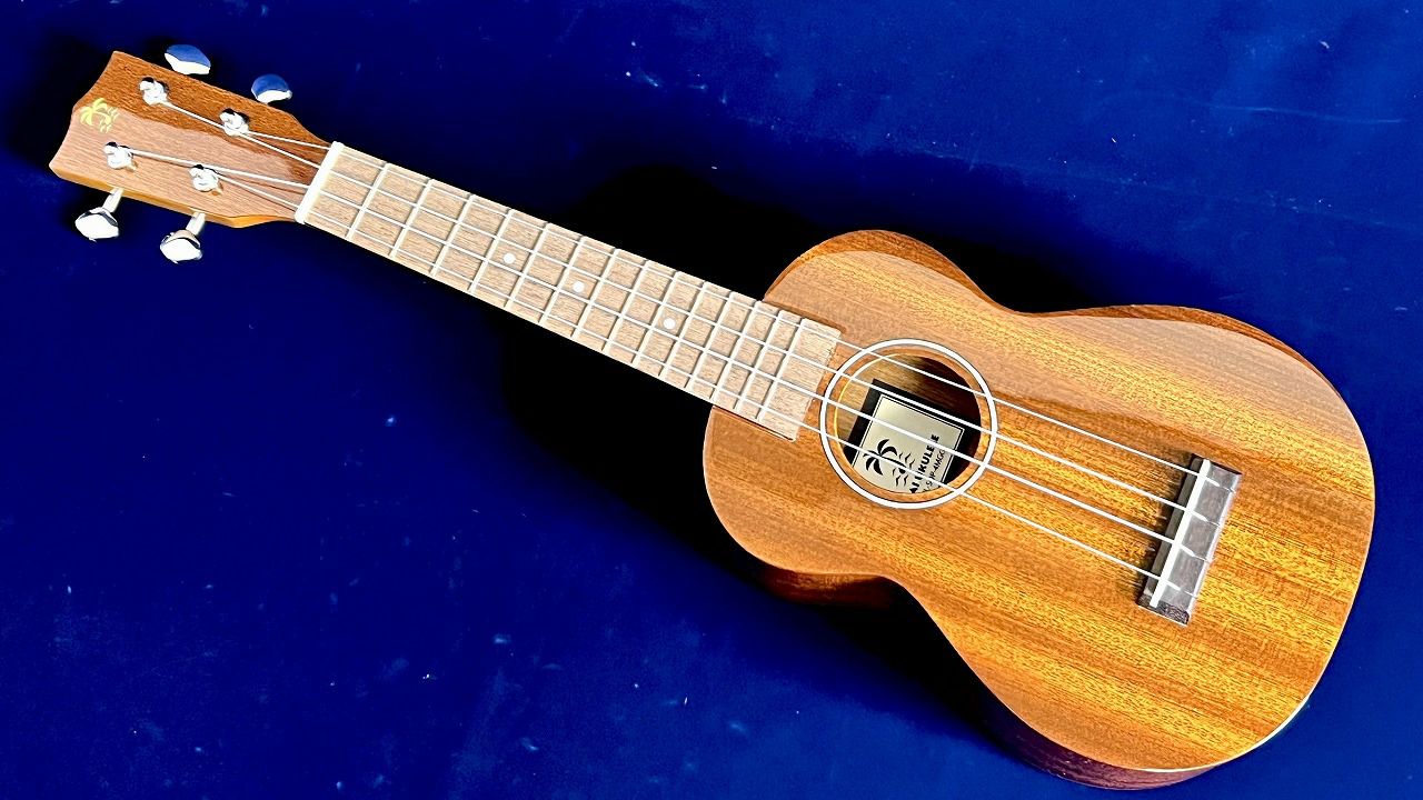 ILIKAI IL-SOP-4MGG