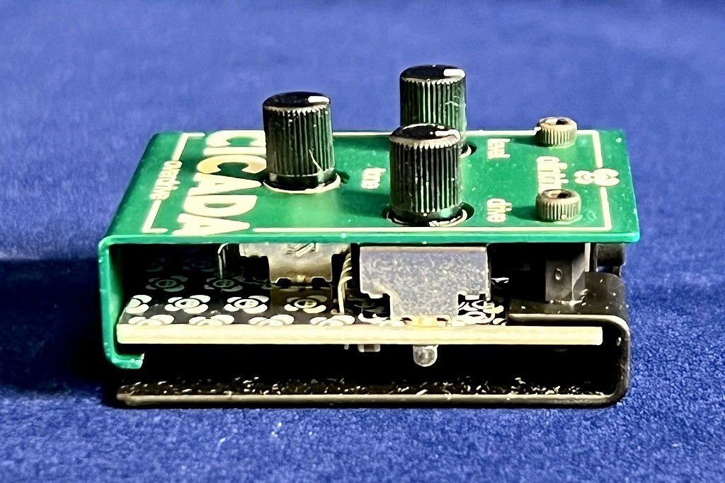 Olinthus CICADA右から