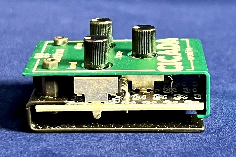 Olinthus CICADA左から