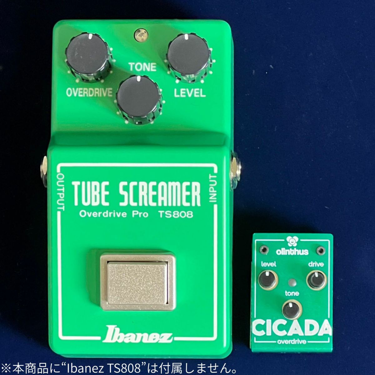 Olinthus CICADAと本家TS808の比較