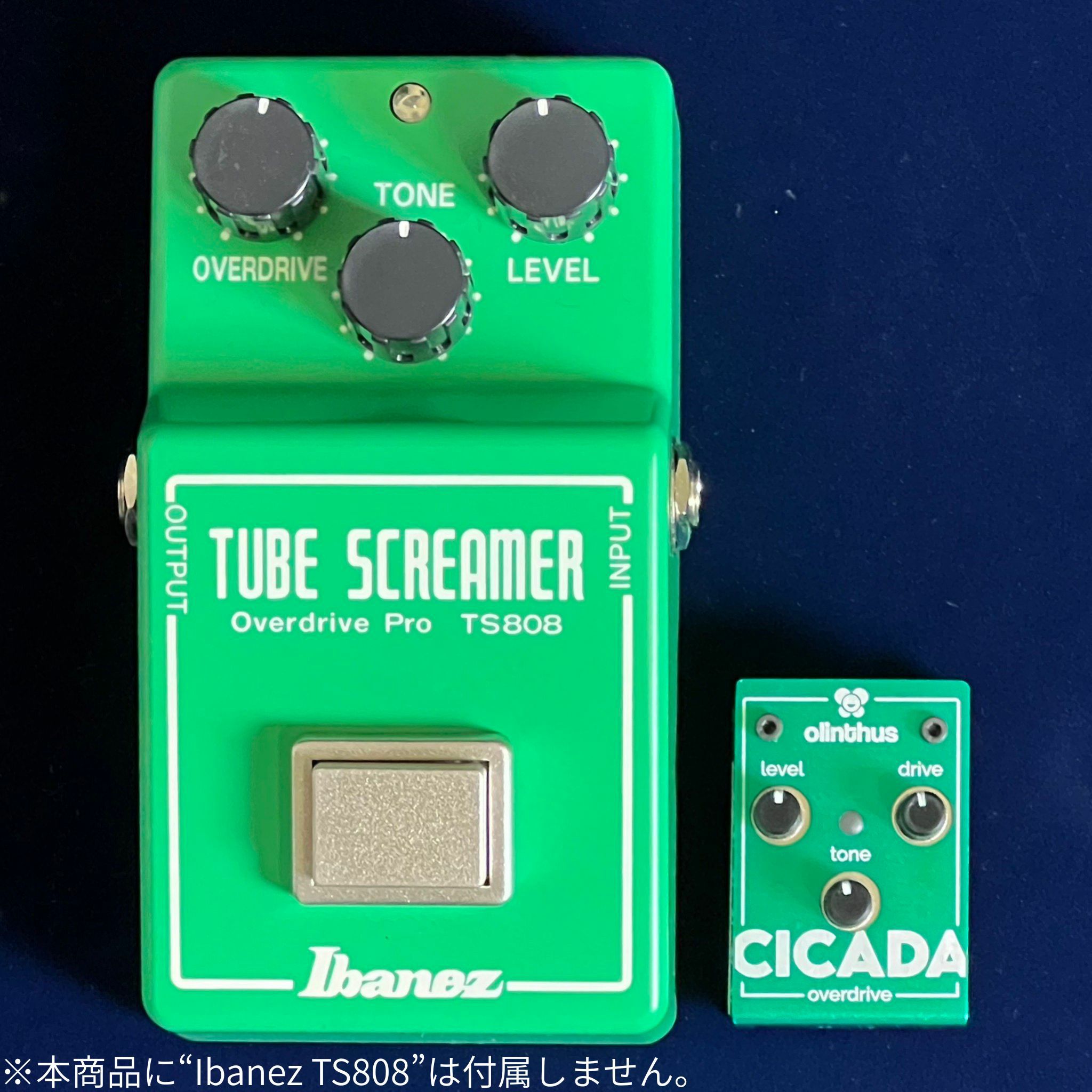 Olinthus CICADAと本家TS808の比較