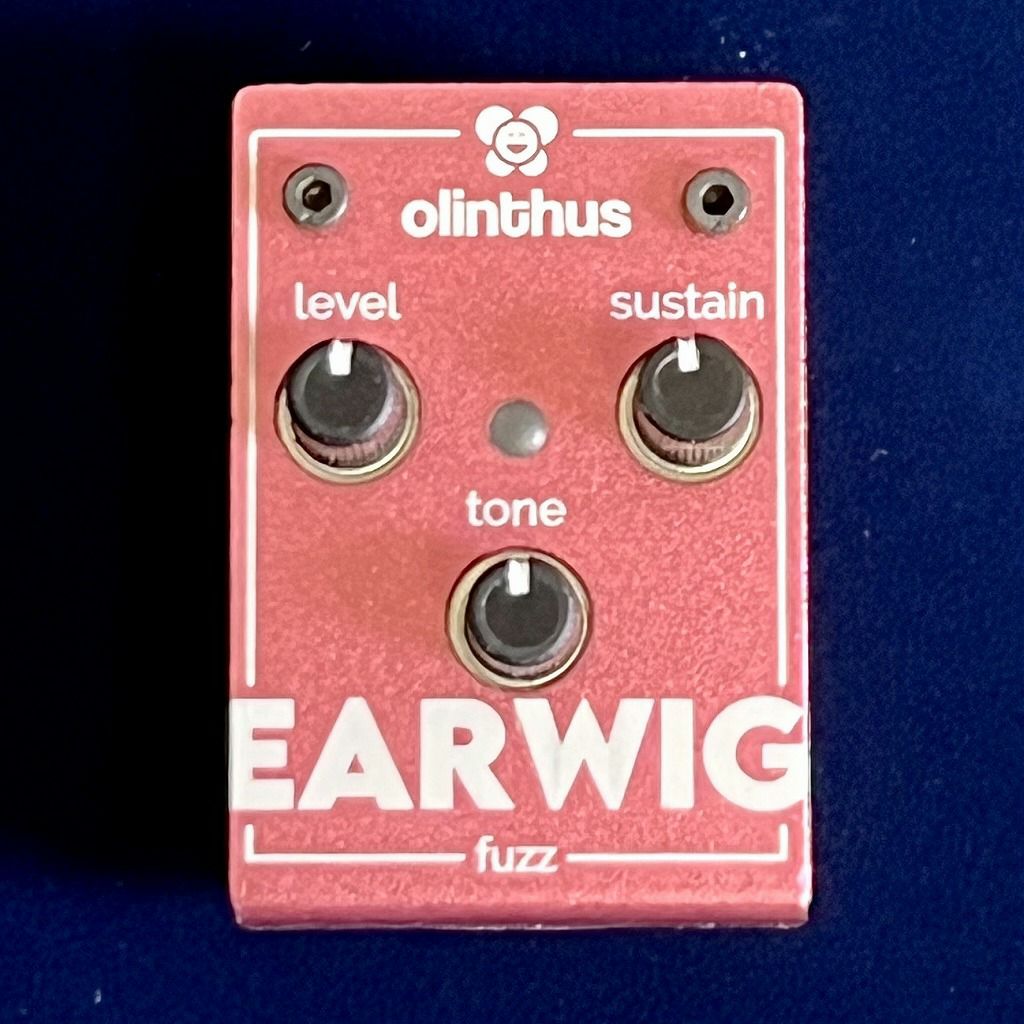 Olinthus EARWIG 表