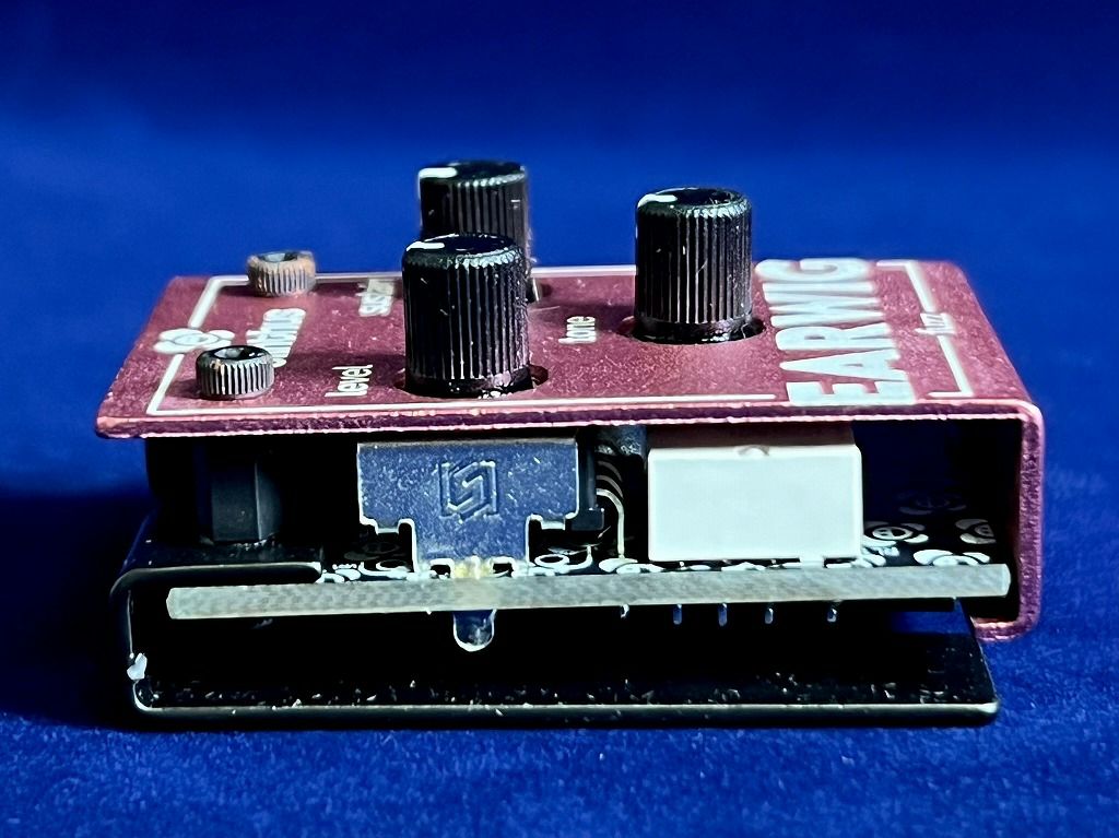 Olinthus EARWIG左から