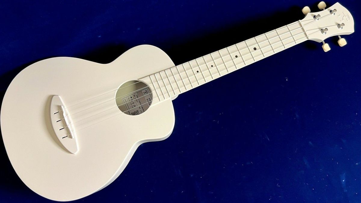 aNueNueLYRAFineTuneFiberGlassLFG-WG(WarmGray)