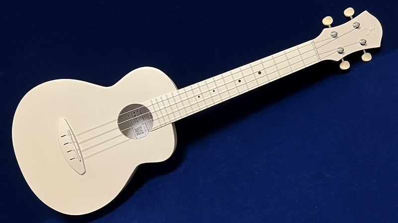 aNueNueLYRAFineTuneFiberGlassLFG-WG(WarmGray)