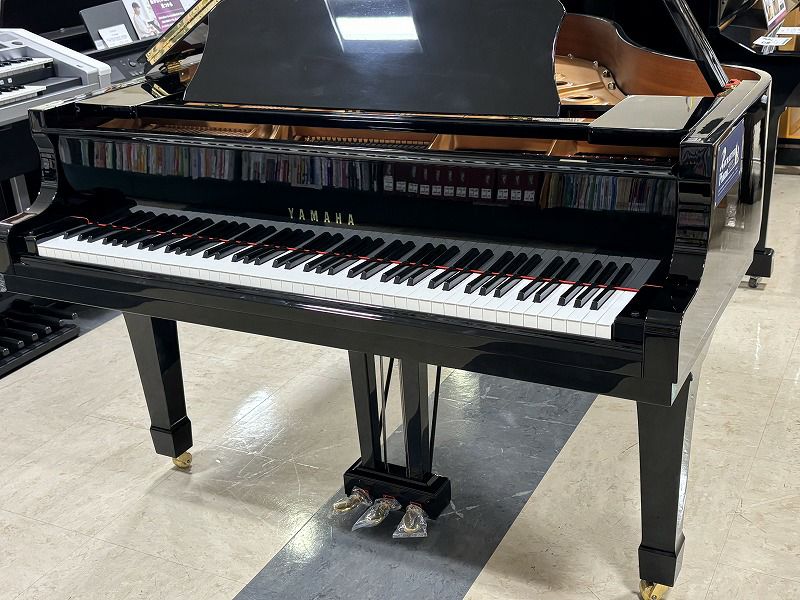 全音 学校教育用箏セット 中板式立奏台付 ZKP-80ゼンオン ZENON 琴